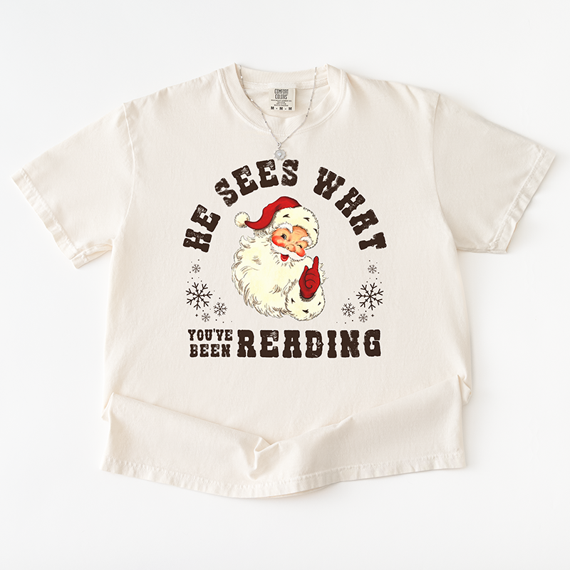 “He Sees What You’ve Been Reading” heavyweight tee – holiday graphic shirt for bookworms